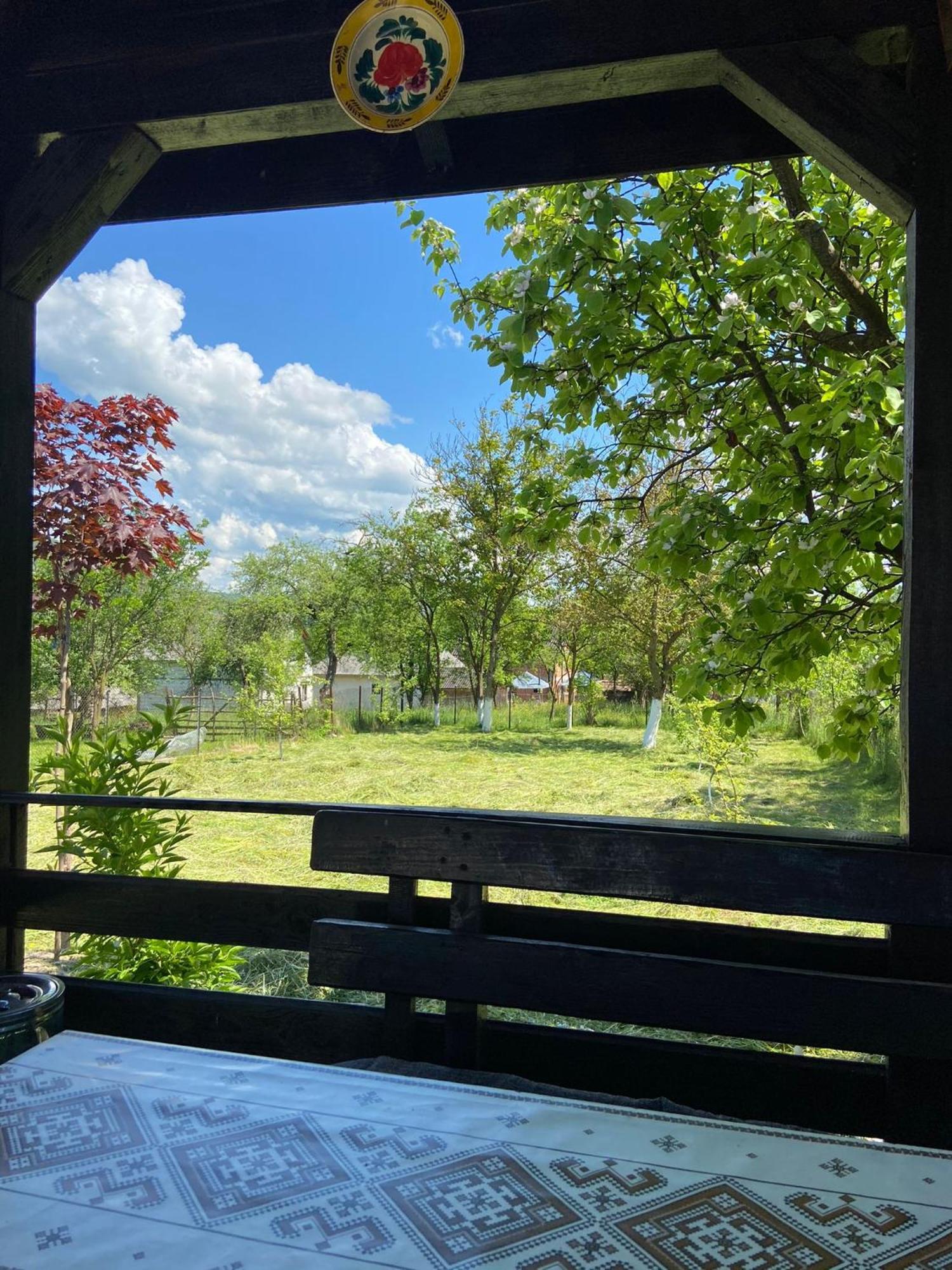 Casa Bianca Oncesti Pensionat Exteriör bild