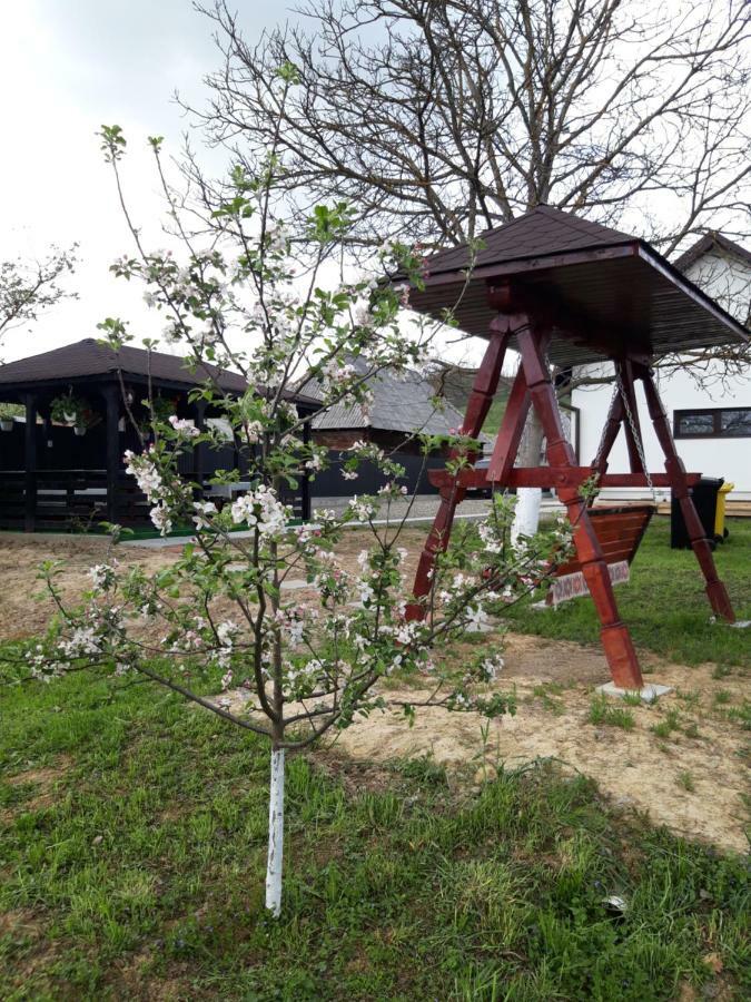 Casa Bianca Oncesti Pensionat Exteriör bild